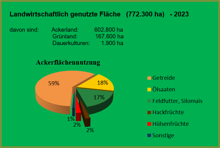 Nutzung der Ackerfläche in Thüringen 2023, Angaben in Prozent (Quelle: Bodennutzungshaupterhebung 2023 des Thüringer Landesamtes für Statistik)