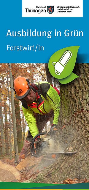 Cover_Flyer Ausbildung in Grün. Forstwirt/in Cover_Flyer Ausbildung in Grün. Forstwirt/in