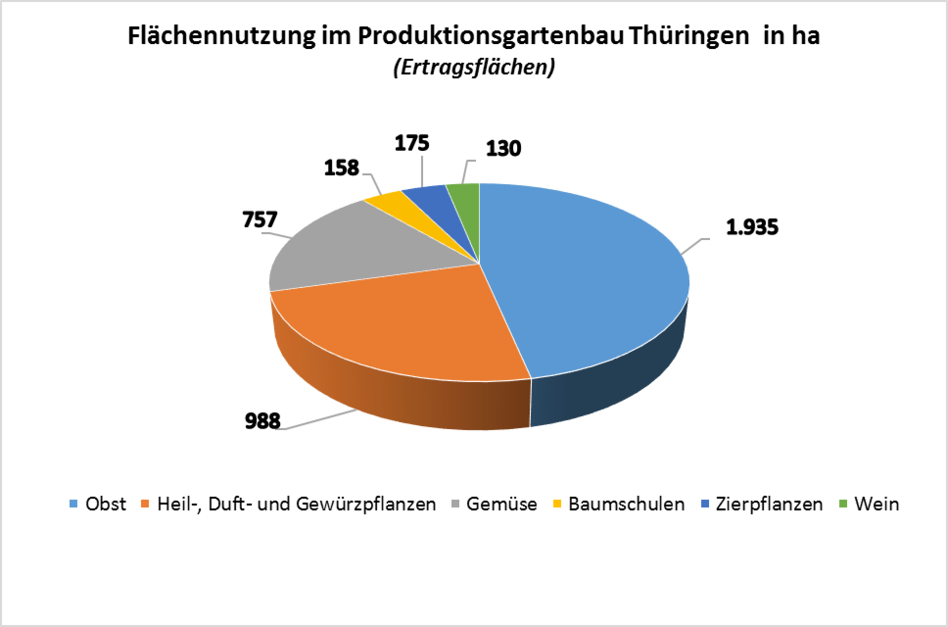 Flächennutzung im Produktionsgartenbau Thüringen in ha